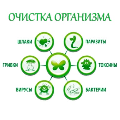 Програми підтримки очищення організму