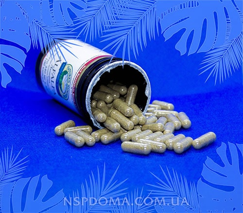 Alfalfa NSP у капсулах картинка