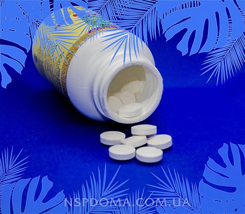 Bifidophilus Chewable for Kids NSP в капсулах картинка
