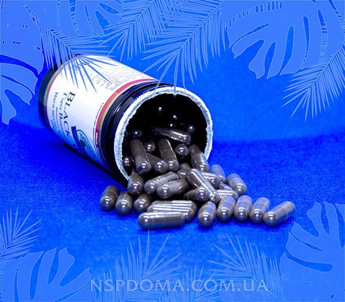 Черный орех противоглистное картинка
