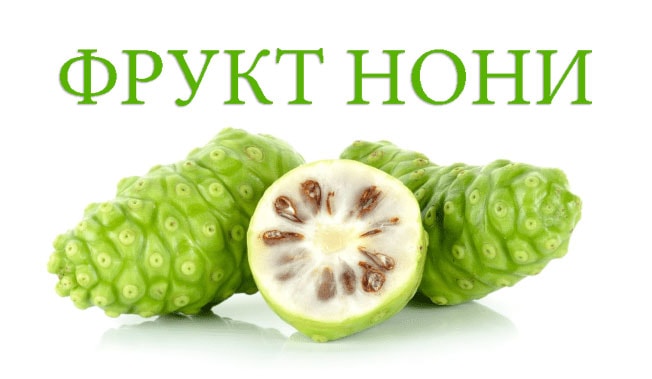 Фрукт ноні зображення