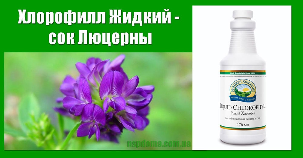 Хлорофіл Рідкий сік Люцерни картинка