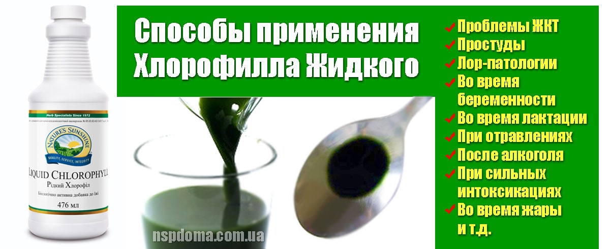 Способи застосування Рідкого Хлорофілу картинка